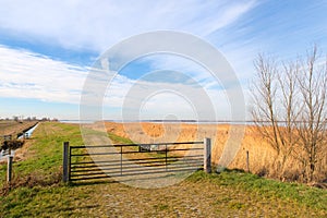 Dutch landscape polder photo