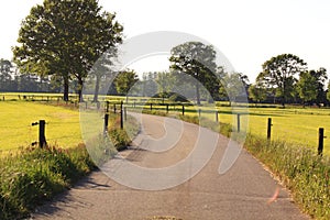 Dutch landscape with tarred road