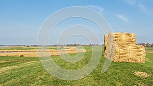 Dutch landscape with thatch sheaf on a farmland