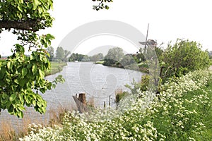 Dutch landscape with windmill & Linge river, Betuwe, Netherlands