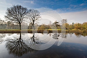 Dutch landscape in winter