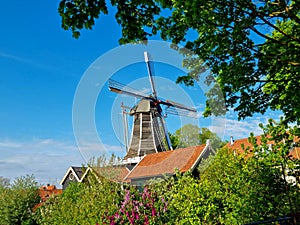 Dutch mill with a green tree