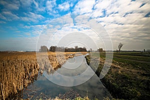 dutch nature landscape with a cloudy sky