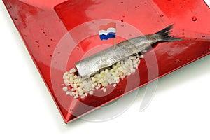 Dutch new herring