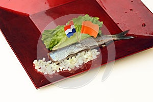 Dutch new herring