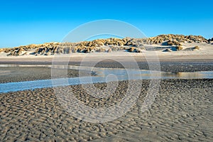 Dutch North Sea beach at low tide on a sunny winter day