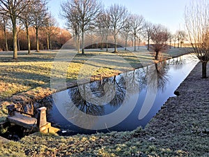 Dutch park landscape in winter in Zeewolde