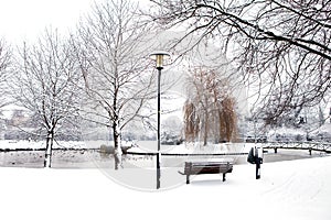 Dutch park in wintertime photo