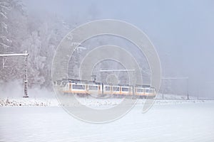 Dutch passenger train passing national park Veluwezoom during winter