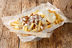 Dutch patatje oorlog means war chips and is a tasty combination of French fries, mayo, raw onions and Indonesian sauce Ñloseup in