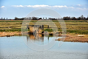 Dutch polder landscape