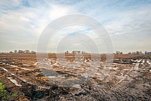 Dutch polder landscape in the autumn season