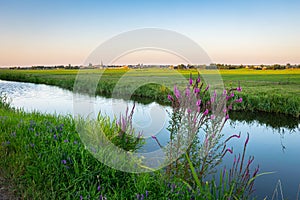 Dutch polder landscape in the evening