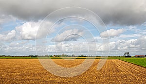 Dutch polder landscape after harvest