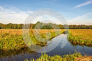 Dutch polder landscape on a windless autumn day