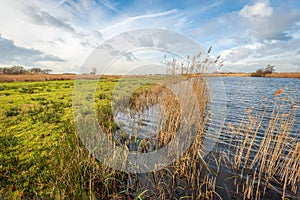 Dutch polder landscape on a windy day