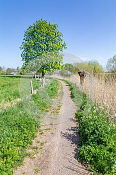 Dutch portrait dyke landscape photo