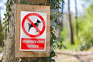 Dutch prohibition sign forbidden for dogs