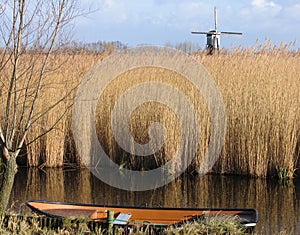 Dutch reed landscape 1