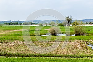 Dutch river landscape near Wageningen