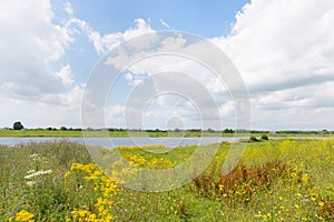 Dutch river landscape
