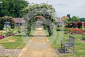 Dutch rose garden with footpath, wooden bench and pergola