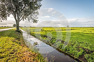 Dutch rural landscape in autumn