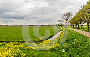 Dutch rural landscape in the spring season