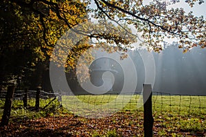 Dutch scaffolding windmill in a misty landscape