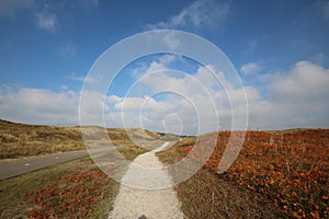 Dutch scenery from top of hill nature during autumn