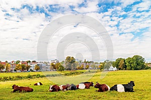 The Dutch Sonsbeek city park in Arnhem