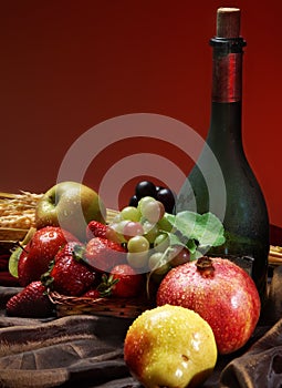 Dutch still life on a tablecloth of juicy fruits and a dusty old bottle of wine on a red background, vertical