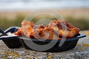 Dutch street seafood, deep fried cod fish fillet with garlic sauce called in Netherlands kibbeling and North sea beach on