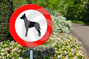 Dutch traffic sign forbidden for dogs