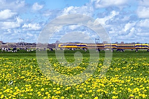 Dutch Train