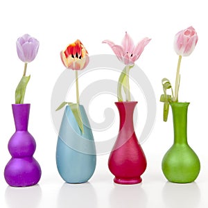 Dutch tulips in colorful vases