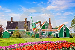 Dutch typical landscape. Traditional old dutch windmill with old houses and tulips against blue cloudy sky in the Zaanse Schans