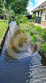 Dutch village with colorful ornamental garden and spring flowers, Giethoorn