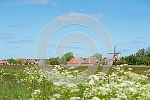 Dutch village at Terschelling photo