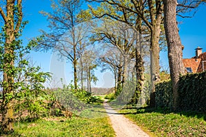 Dutch walking trail along lush green fields and small forests