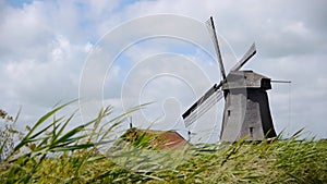 Dutch wind mill with grass landscape