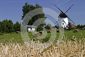 Dutch wind mill in polish countryside