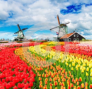 Dutch wind mills