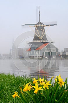 Dutch Windmill