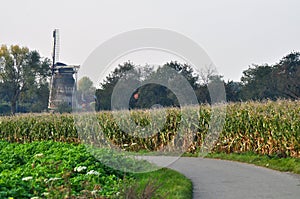 Dutch Windmill in Autumn Colors