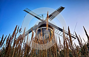 Dutch windmill behind the cornfield, in Benz on the island of Usedom. Germany