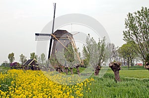 Dutch Windmill 'De Zwaan'