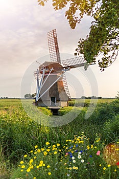 Dutch windmill in the field