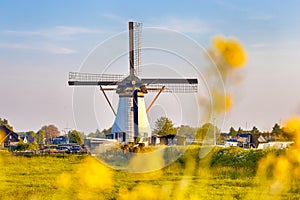 Dutch Windmill In Front of The Canal With Large Number of Small Mosquitos in Frame. Located in Traditional Village in Holland, The