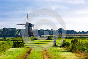 Dutch windmill landscape
